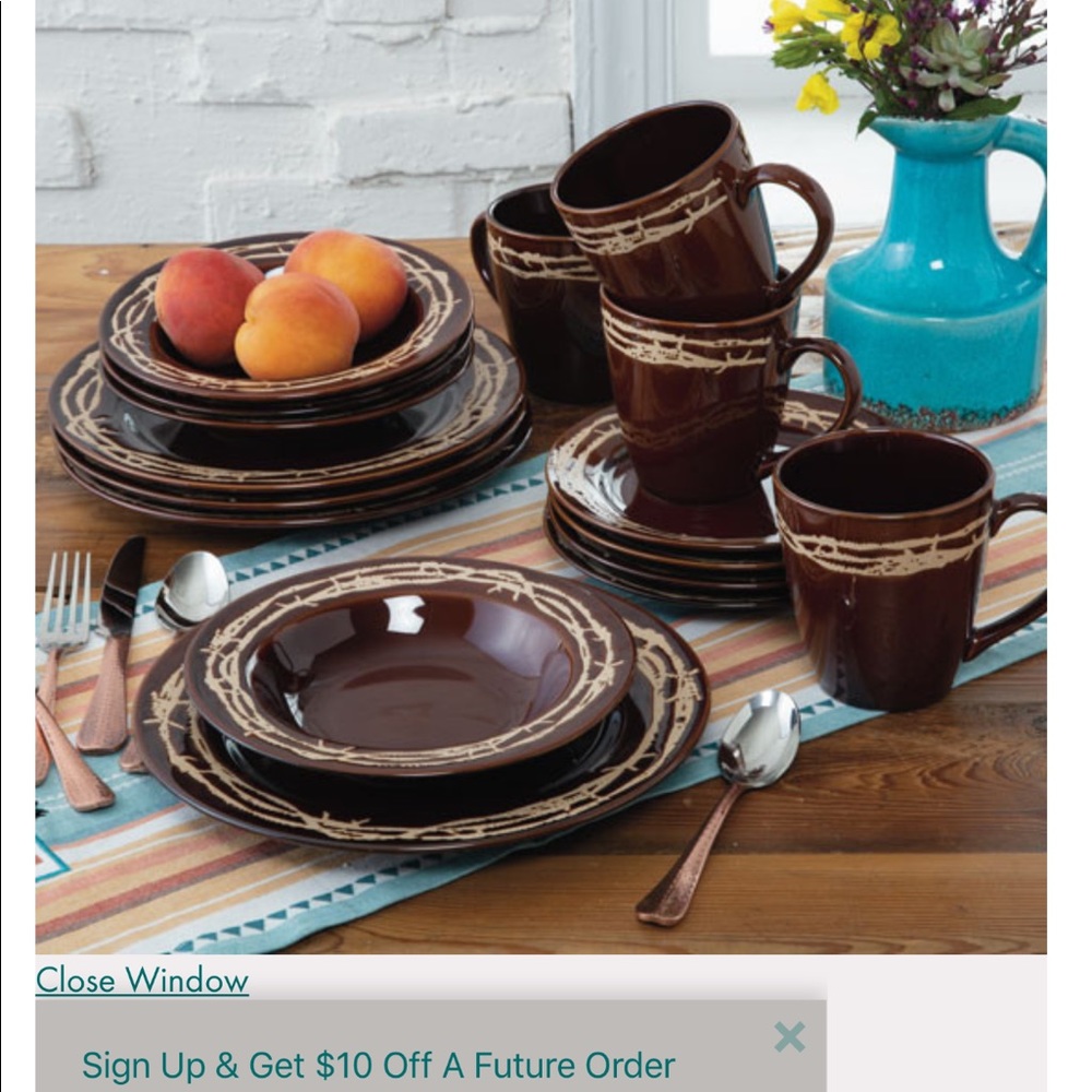 16 piece porcelain dinnerware set barbwire